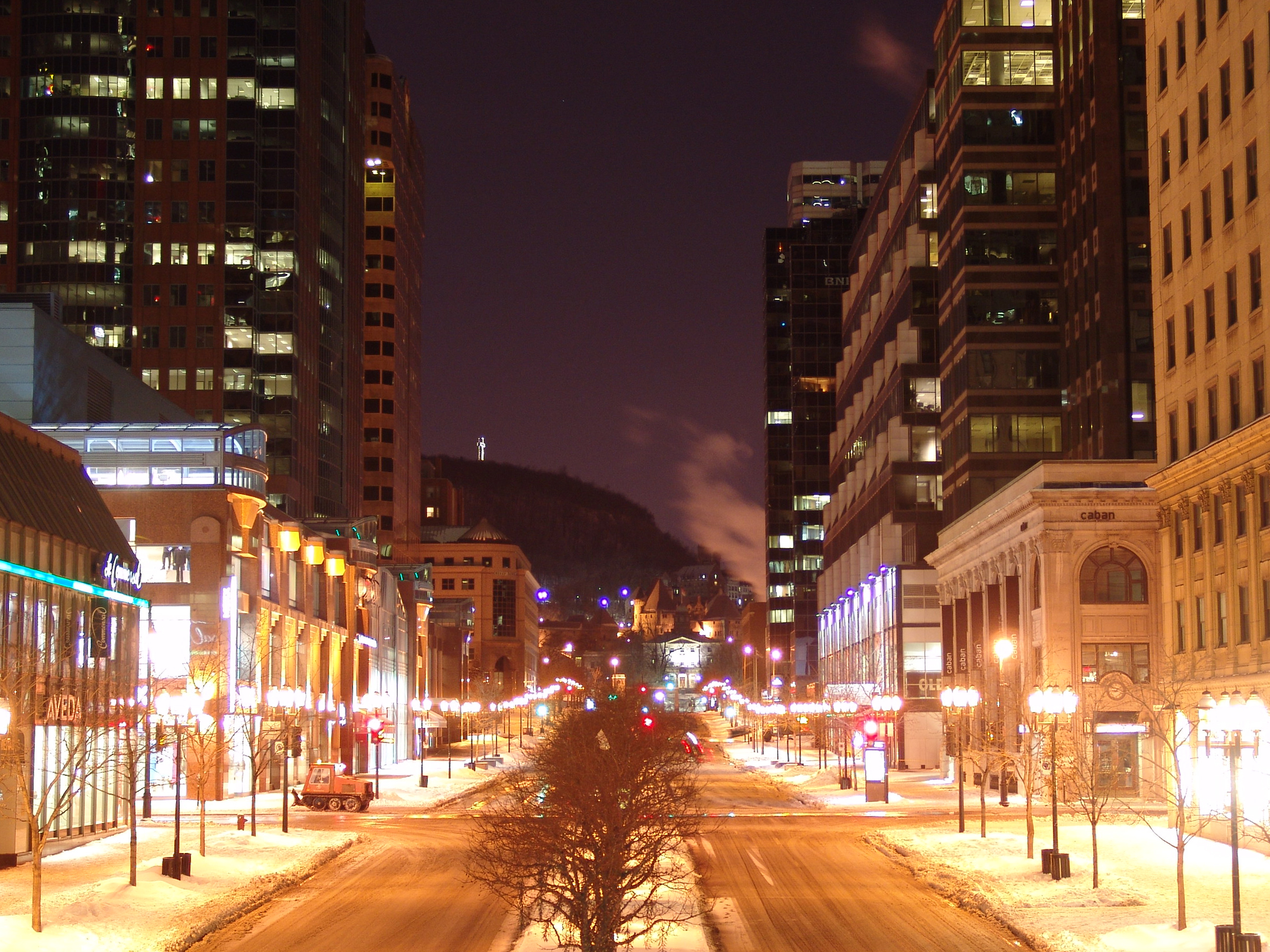 Montreal_-_McGill_College_st.